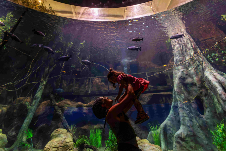 AquaFoz conecta ríos y océanos ampliando las experiencias de conservación en la Triple Frontera